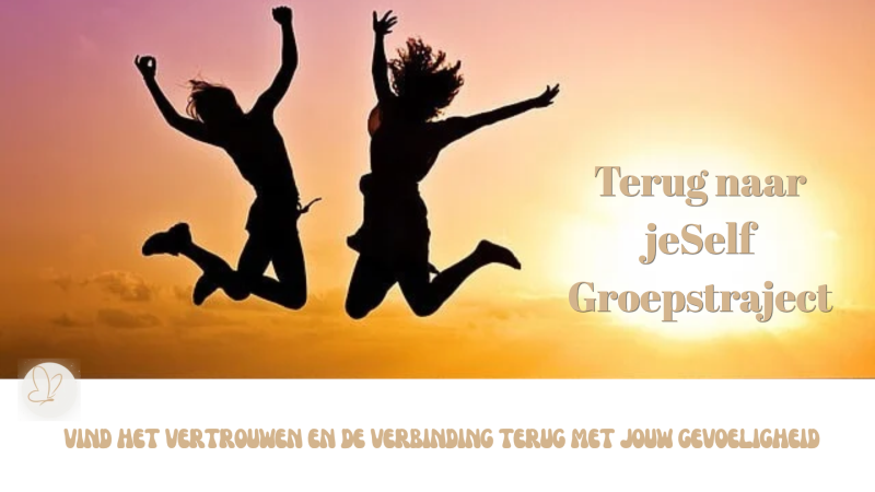 Terug naar je Self - Groepstraject