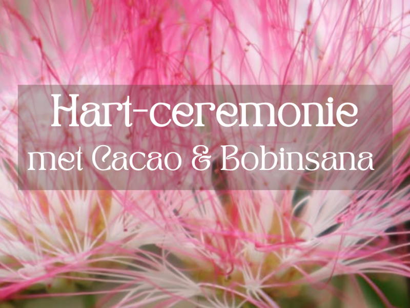 Cacao & Bobinsana Hartcirkel