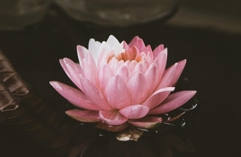 Yoga Nidra