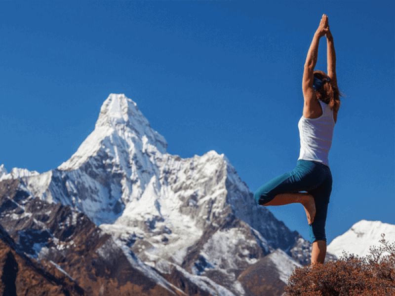 30 Dagen Gezondheidsreis & Retraite India in de Himalaya - Reizen, Ayurveda, Gezondheid