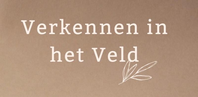 Verkennen in het Veld