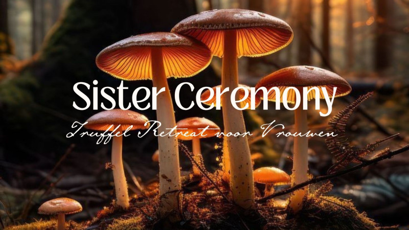 Sister Ceremony | Truffel Retreat voor vrouwen