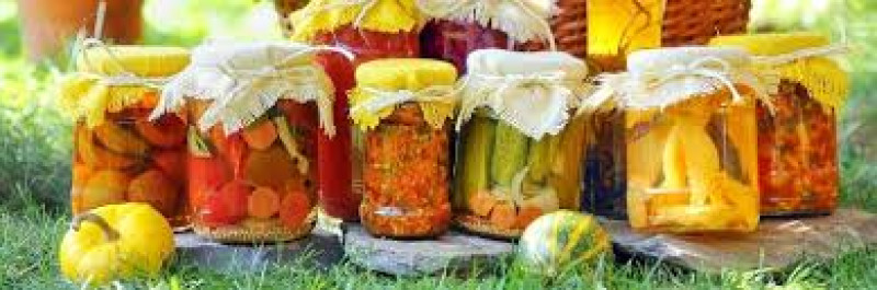workshop fermenteren en voedsel drogen