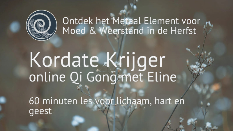 Online Qi Gong voor Weerstand en Moed in de Herfst