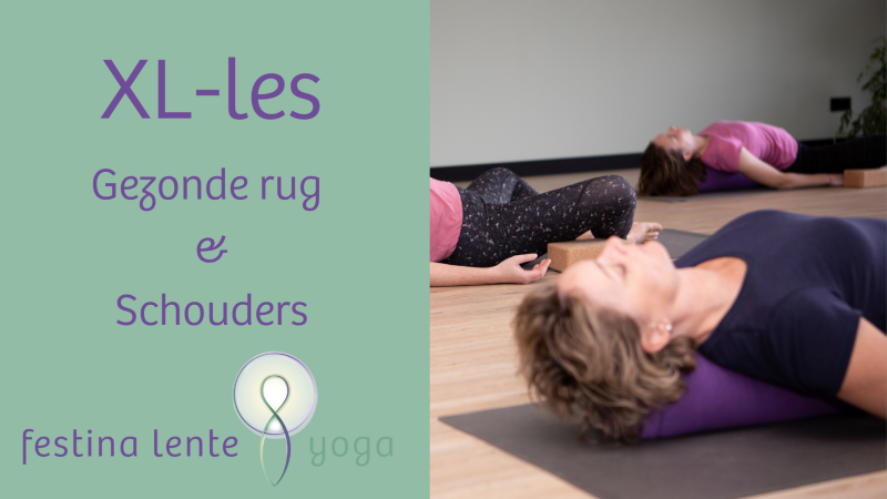 XL-les Gezonde rug en schouders