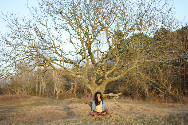 Online Yin yoga & begeleide Meditatie - visualisatie - Yoga Nidra, Yoga, Meditación