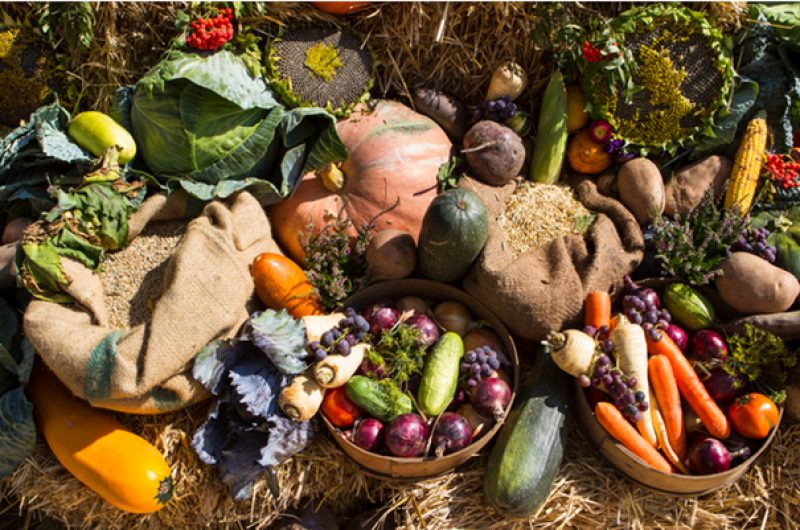 Lughnasadh Seizoenswandeling - We vieren het Oogstfeest!