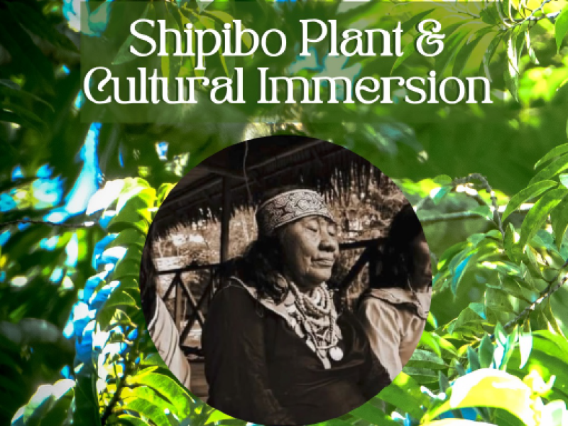 Shipibo Plant & Cultural Immersion — Pucallpa, Peru 🌿