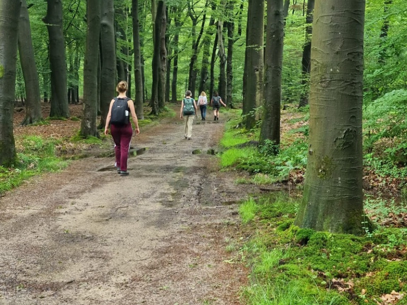 2 Daagse zomer wandeltocht van Cuijk naar Nijmegen