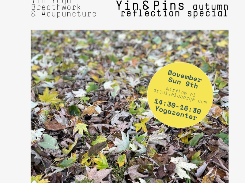 Yin & Pins Autumn