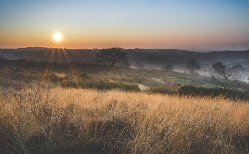 Hike in Nationaal Park Veluwezoom