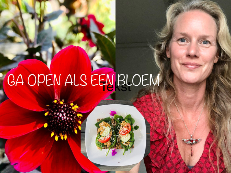 Holistische coaching (Incl module voeding) GROEP 2
