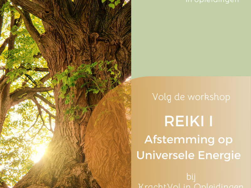 Reiki I, Afstemming op Universele Energie