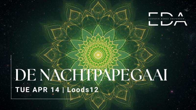DE NACHTPAPEGAAI | EDA @ Loods12 - Ecstatic Dance, Conscious Dance, Intuitive Dance