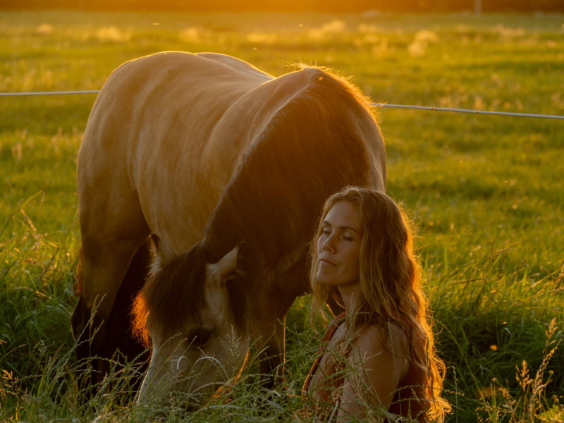 Ontspanningsmoment tussen de paarden