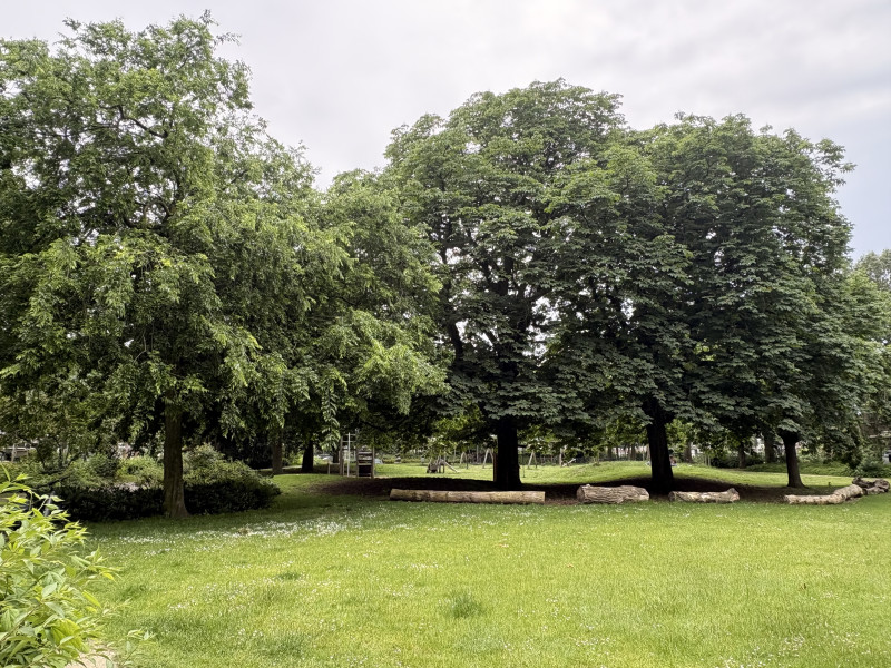 Terwijl de stad ontwaakt kennismaken met bosbaden in Julianapark