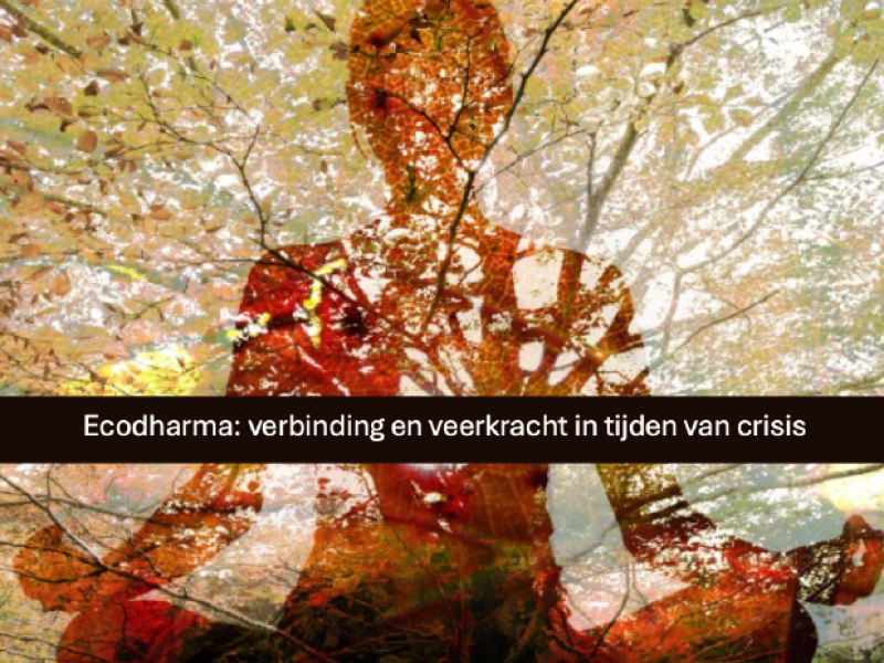 EcoDharma I - Deep Time Walk