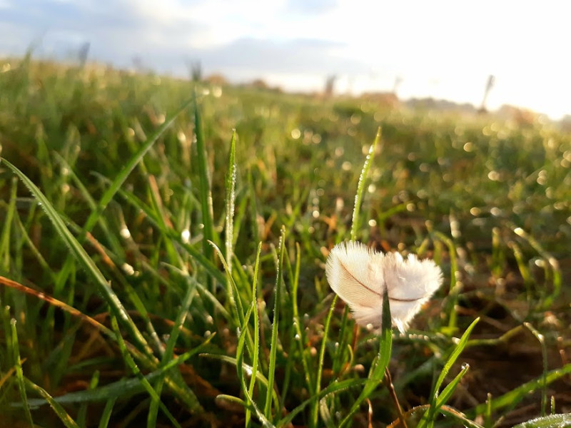 Midwinter verstilling 17 dec 2026