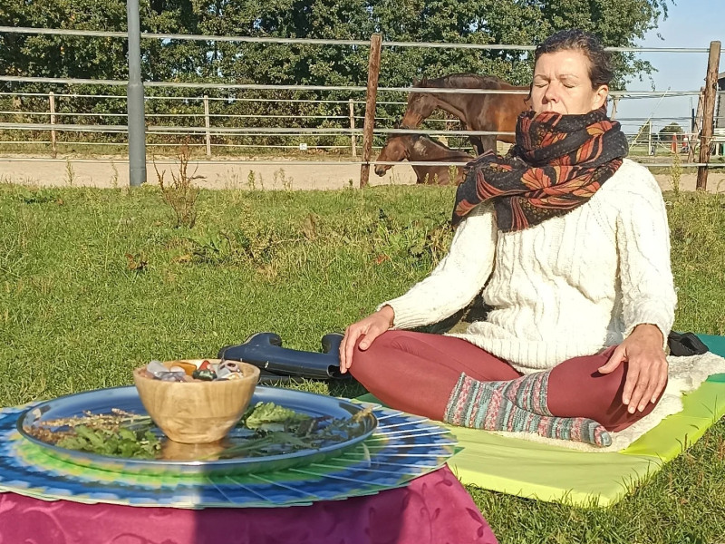 Meditatie tussen de paarden