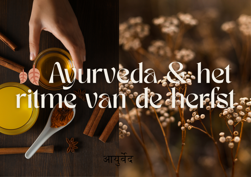 🍂 De Ayurvedische klok - Leef mee in het ritme van de herfst - Ayurveda