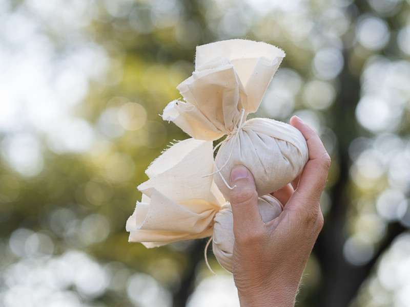 Workshop: Ontdek de kracht van de natuur 