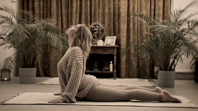 4- WEEKSE ASHTANGA VINYASA BEGINNERSCURSUS