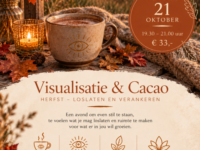 Visualisatie & Cacao avond