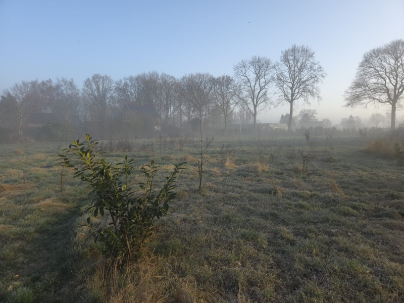 Systemisch naar Buiten (let op, bestaat uit 2 blokken)