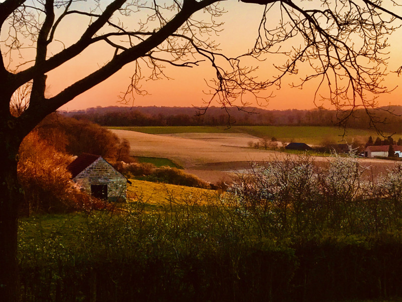 Mind-Walk in Zuid-Limburg