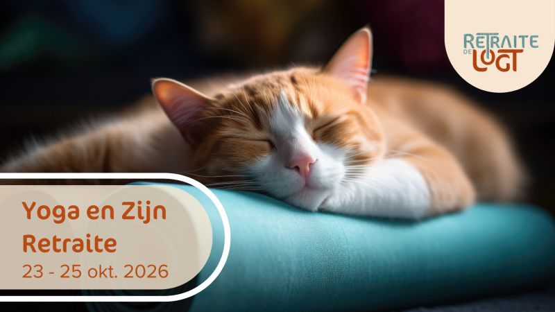 Yoga en Zijn