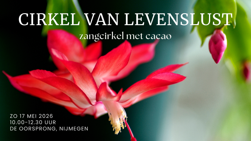 Cirkel van Levenslust- Zangcirkel met cacao - Cérémonie de cacao, Cercle de chant, Chant de mantras