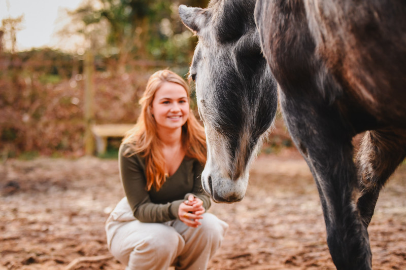 The wisdom of your animal