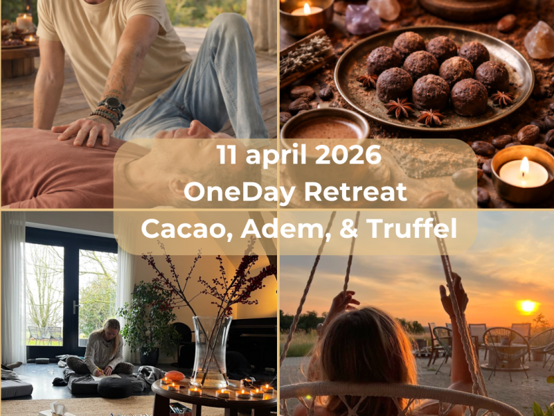 OneDay Retreat Breathwork, Microdose Truffel, Cacao & much more