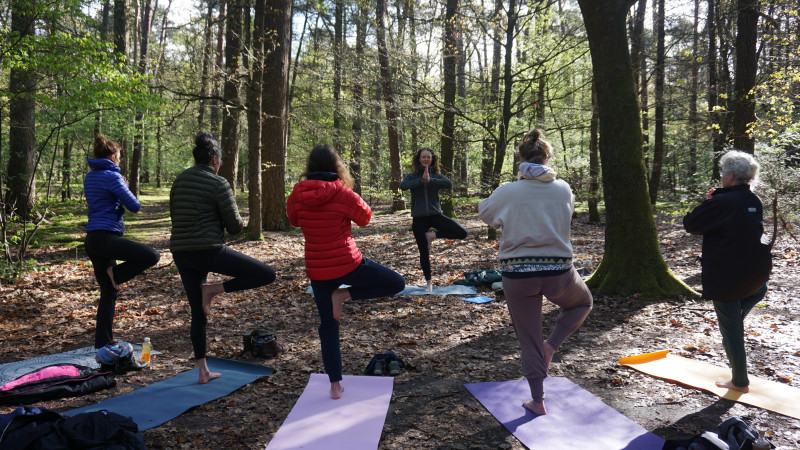 Hiking en Yoga - Dagretraite - Zomer editie