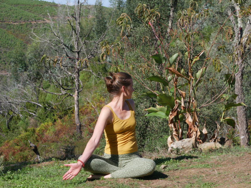Stabiliteit in het draaien | Critical Alignment Yoga