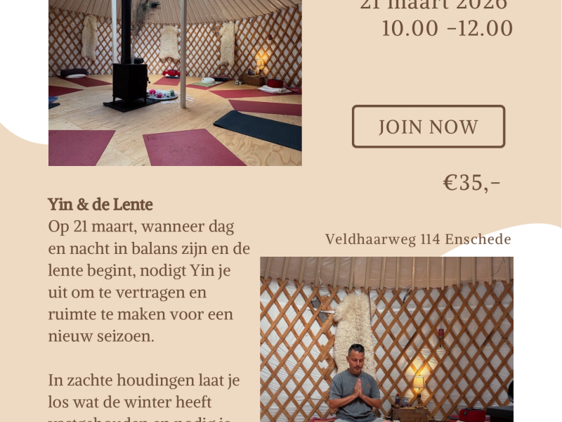 Yin XL Lente Basics