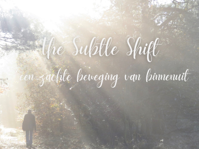 FlowCircle - The Subtle Shift