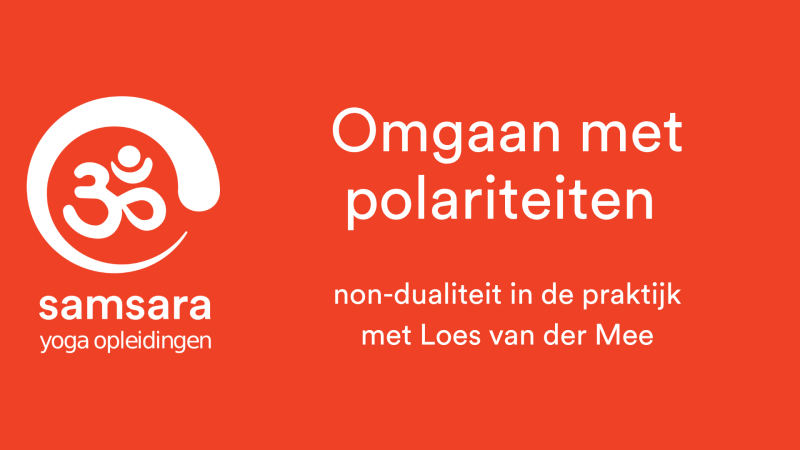 Omgaan met Polariteiten