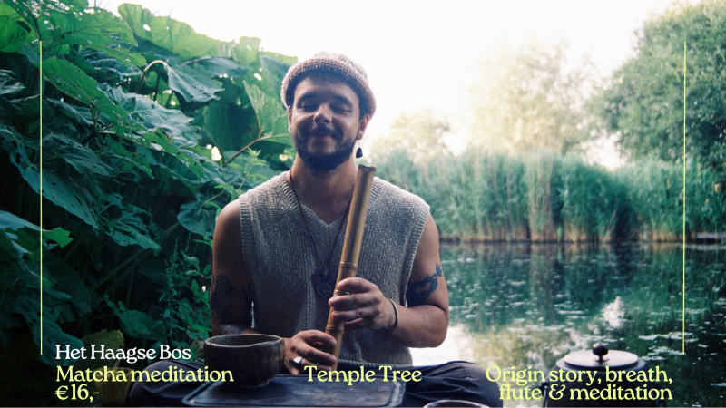 Temple Tree Tea Session: Matcha Meditatie in het Haagse Bos - Ceremonia del té, Meditación, Narración