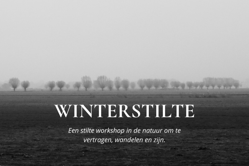 Winterstilte