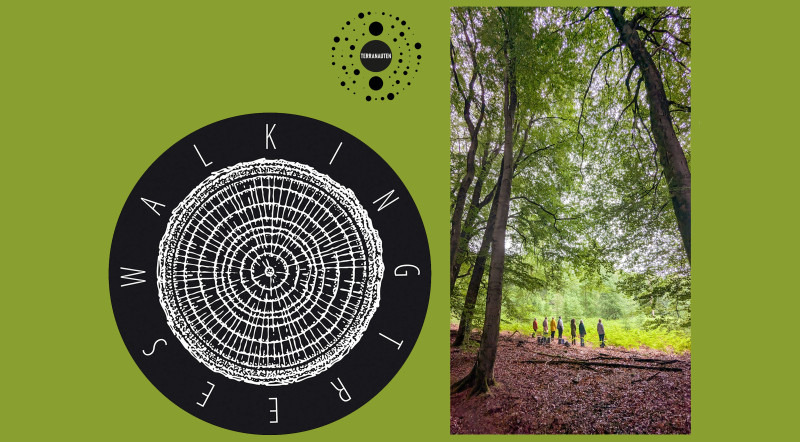 WALKING TREES - bosbaden
