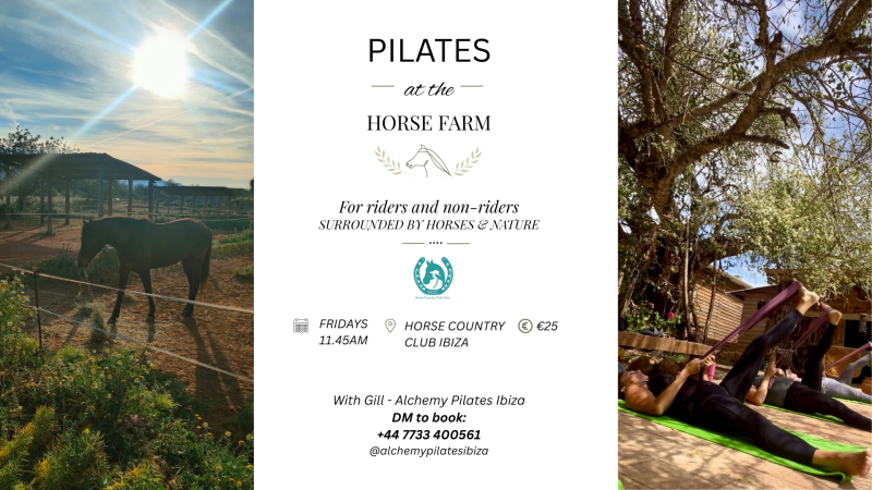 Pilates at the Horse Farm - Caballos, Naturaleza, Movimiento