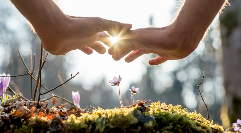 Workshop energetisch leren voelen in de natuur.