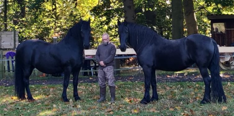 Ervaringsdag Mannen: Het Zwarte Paard bron van kracht en inspiratie