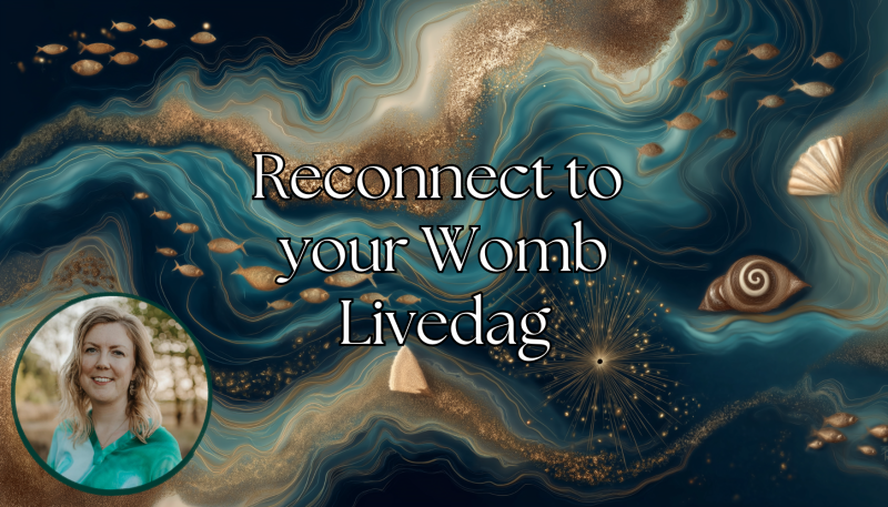 Reconnect To Your Womb Livedag - Vrouwencirkels, Familieopstellingen, Kundalini Activatie