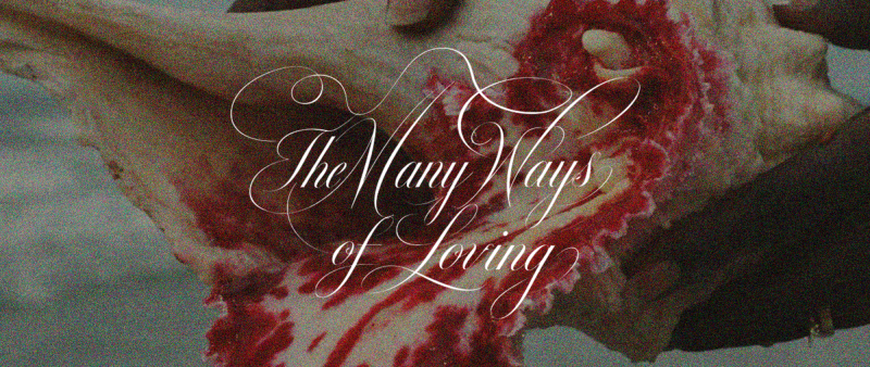 To Honour the Many Ways We Love