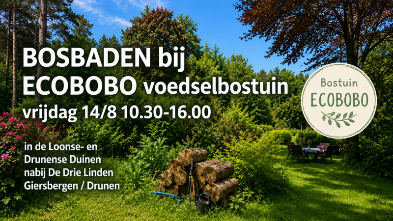 Bosbaden bij ECOBOBO bostuin - Natuur, Bosbad - Shinrin Yoku, Ontspanning
