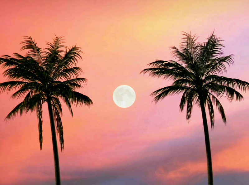 ✨️🌊🐚 SUNSET SOUNDBATH ✨️ FULLMOON BEACH CEREMONY 🐚🌊