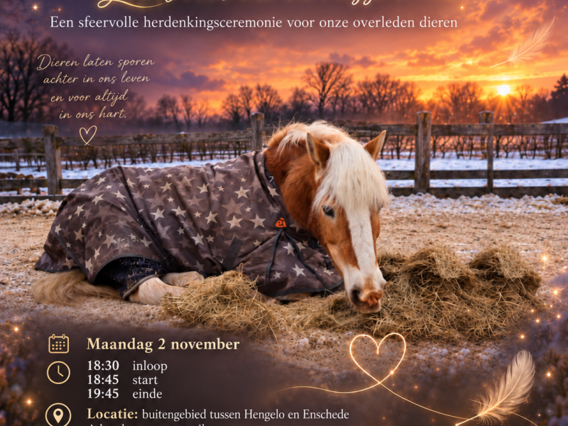 Allerzielen voor dieren