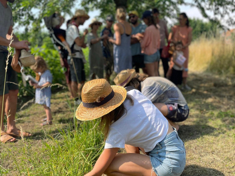 Wildplukinitiatie: plukken en koken - Nature, Herbes, Cuisine